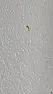 Brown marks appearing on bathroom ceiling and wall | &laquo; previous thread