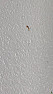 Brown marks appearing on bathroom ceiling and wall