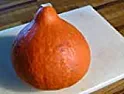 Buttercup Squash  |   they have a blue squash festival in Japan when these ripen. I'll post a re...