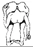 stovetop eye | &laquo; previous thread