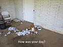 Pets  | &laquo; previous thread