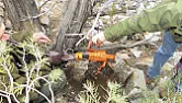 Rifle found 140 years later  |  Found 140 years later...