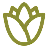 Where to buy ornamental grass?? |  An excellent source that has pleased many Native Plant Society of Texasmembers...