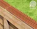 The legalities of putting sharp and pointy things on the top of walls/gates |  ...I have used Albertine rose. It is a very fast climber and has huge thorns....