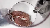 the hiiden lives of mole rats  | &laquo; previous thread