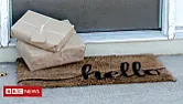 Mystery Seeds  |  Has anyone received any of those mystery seed packages that have been popping up...