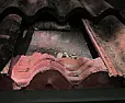 roof tile repair, first row  |  No nails here -- can't speak for anyplace else of course. When I pulled out...