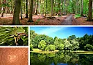 [REPOST] Piling leaves around trees |  As stated in the previous posting,  composting leaves willactually draw nitrogen...