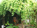 Problem with Pergola  |  Yes, it is a pergola.  From your photo, it appears that the growth ofhoneysuckle...