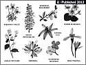 Blooming times shifting  |  http://www.nytimes.com/2012/04/19/opinion/early-bloomers.html?_r=1&hp Seems to...