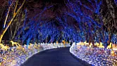 Bought new Christmas lights L.E.D how do they work? | next thread &raquo;