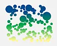 Blueberries in So. Calif coastal  |  My nursery (Armstrong) advertises 2 blueberry varieties that (Iassume) can be...