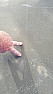 New patio concrete cracks 
