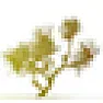About grass  | next thread &raquo;