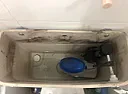 Do I need a new toilet syphon? | next thread &raquo;