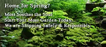 Mosses | &laquo; previous thread