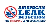 Pool leak Episode II |  I am calling around for other leak detection services to see if they can do...