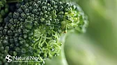 Broccolli flowers  |  Well for some reason all my plants went from 1" heads right to flowers,...