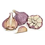 Review: bogatyr garlic  |  Hi All, I have been looking for a Garlic that will over winter in zone 6b and...