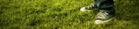 What type of grass to sow?  Fescue not working... |  "Paul H. Smith"  wrote in...