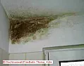 how best to remodel bathroom wall? |  The permanent solution I recommend is airing out the humidity aftershowering and...