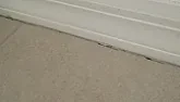 Fire Ants  |  Then - in all probability - what you are seeing aren't fire ants.  I've ...