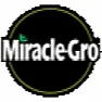 Mixing Miracle Gro |  Sounds like a good idea that would work.  The dose is 1 Tablespoon MGper gallon...