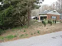 planting something to hid gap in Norway spruce  |  A neighbor who doesn't ask you about where the property line is, cuts down a...