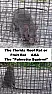 I got a problem:(  |  I once tried to get rid of pests in a warehouse/office I had and the rats/mice...