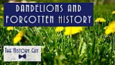Earth Nails: History of the Dandelion  |  Hi All, If you have 11 minutes and 38 seconds of your life that you do not know...