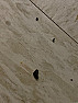 Brown and black stuff all over floors and bites me