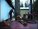 Chain Saw and Leylandii  |  Chains need to be sharpened regularly with the correct size and shape  file (I...