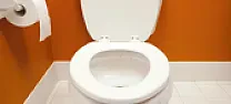 Tiny toilet leak | &laquo; previous thread