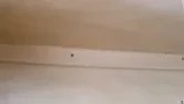 Kitchen cabinets | next thread &raquo;