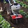 Lawn edgers  |  She forced me into the garden again today to fight with the  useless strimmer in...