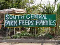 Growing Your Own: An Urban Farmer¹s Memoir  | &laquo; previous thread