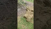 Converting a Countax IBS deck into a mulcher?  | &laquo; previous thread