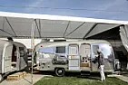 Camper in the Trees?  | next thread &raquo;