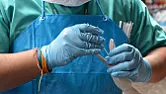 A GDP for nature: How measuring the health of the natural world might prevent the next pandemic |  A GDP for nature: How measuring the health of the  natural world might prevent...
