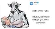 DIY Milk  |  On Sat, 29 Aug 2020 23:19:24 +0100, GB     snipped-for-privacy@microsoft.com...
