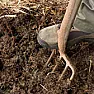 No till organic  |    stirrup hoe, good control of the area around the garden.  like a deep enough...