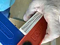 Edge Sanding  | &laquo; previous thread