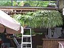 Types of Patio Covers?  | next thread &raquo;