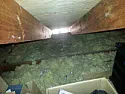 Just curious whether an attic fan is apropos here  |  Are we talking about an attic fan or a whole house fan?  Attic fan is to cool...