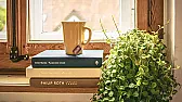Bedroom Plants  |  Seems unlikely. Plants require CO2 to make O2, and presently CO2 is at about 290...
