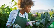 Pesticides in produce  | next thread &raquo;
