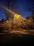 1000w replacement halogen floodlight bulb problem  |  Hi everyone,Over the past week i have replaced my back garden haolgen...
