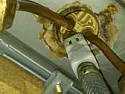How do I disconnect this coupling on a kitchen hose sprayer? |  I haven't seen these before. But this appears to be a quick-disconnect hose...
