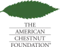 American Chestnut  |  States what?   1)  That I was led to believe, etc., etc.  ....   OR 2) That ...