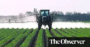Aminopyralid herbicide contaminated manure in UK | &laquo; previous thread